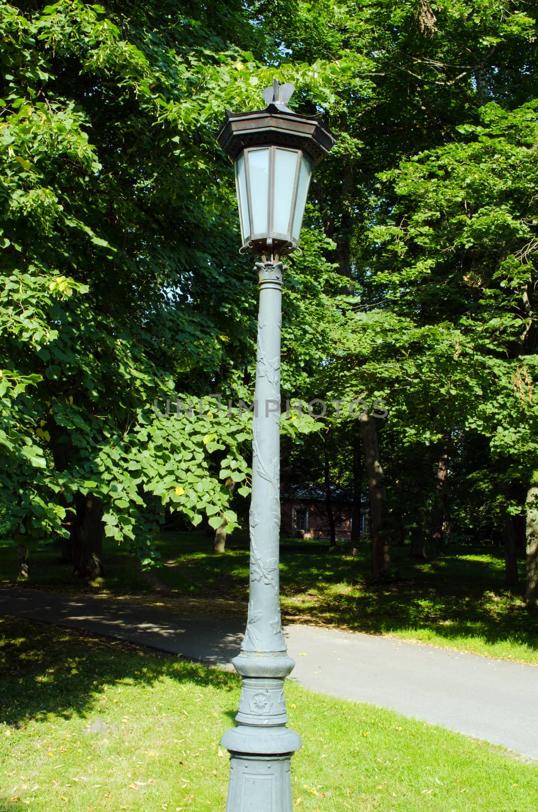 Retro lighting pole lamp in park and linden tree branches on background.