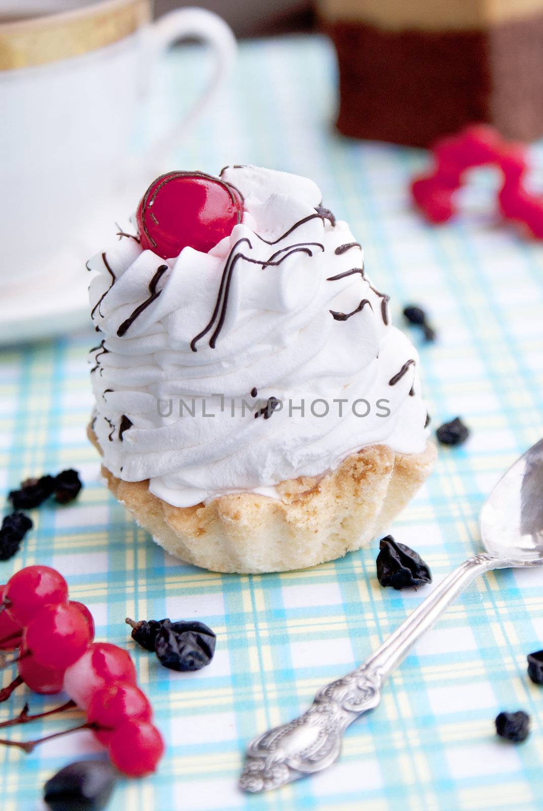 Sweet appetizing fresh fruit biscuit by sergey150770SV