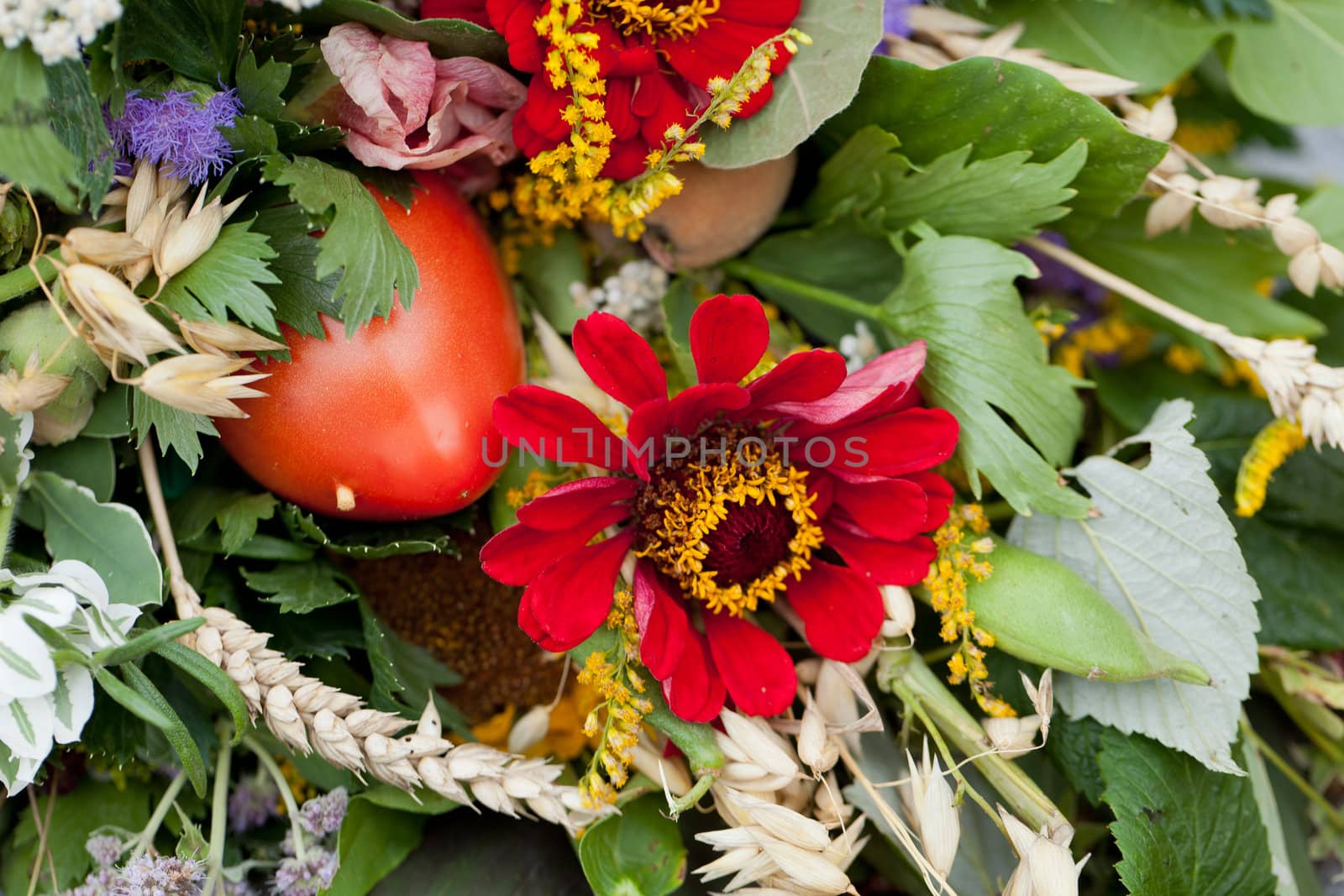 beautiful bouquets of flowers and herbs