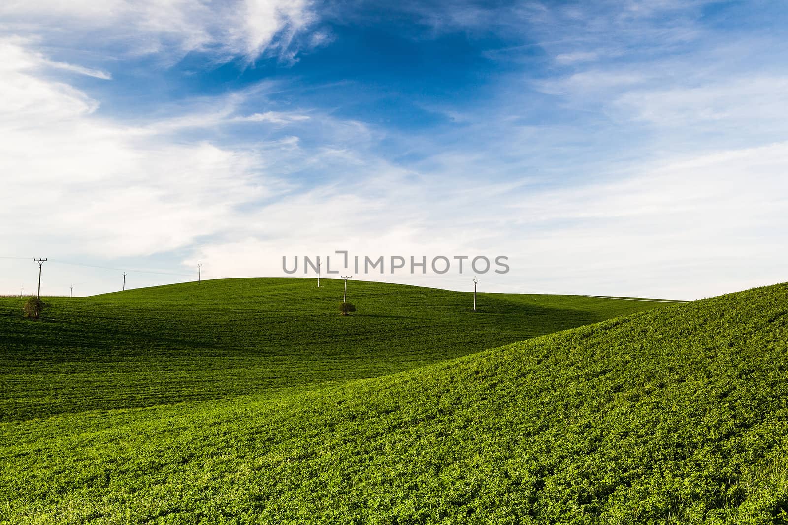 Landscape in the wine region of Moravia