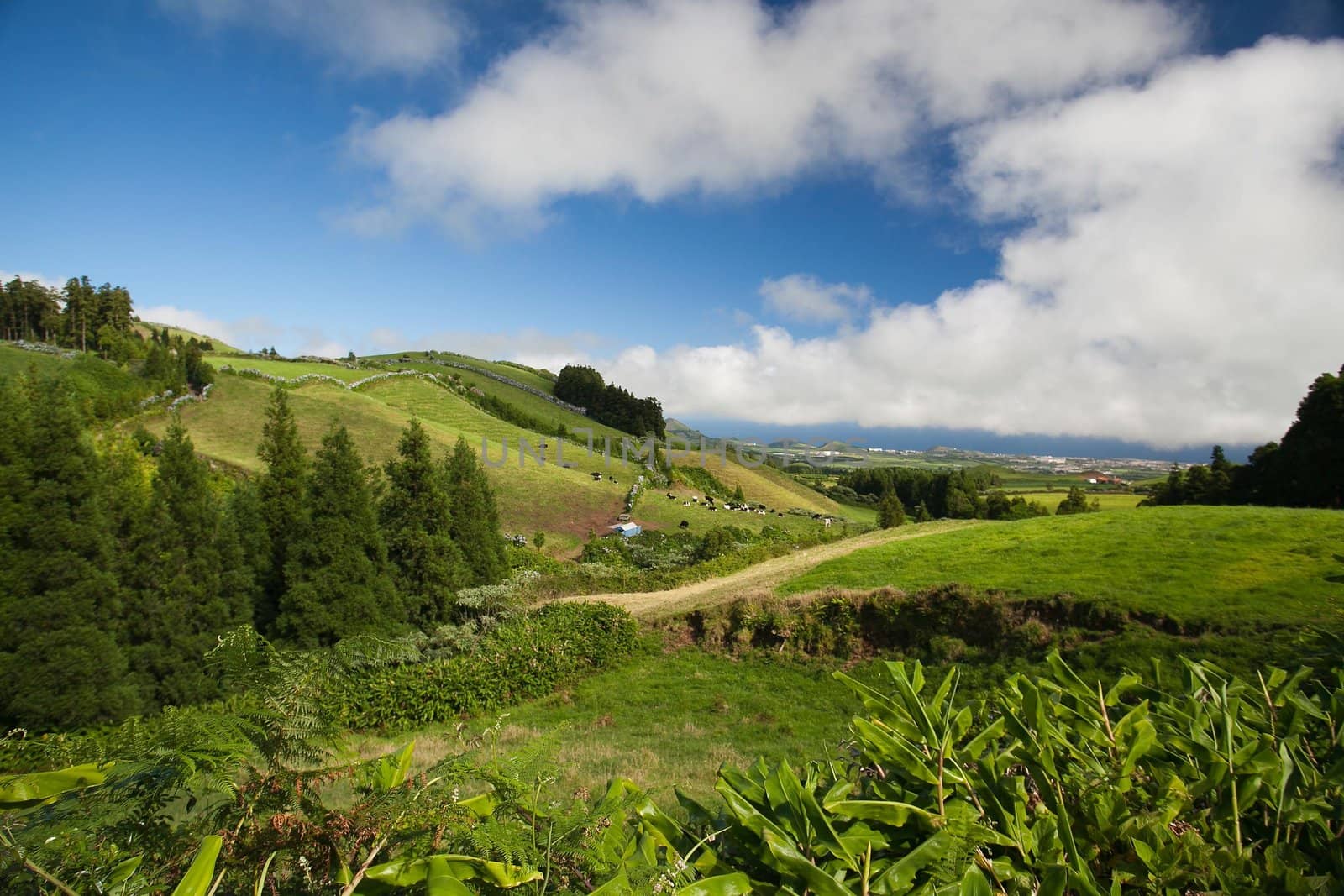 Aerial view to the city and valley, San Miguel island, Azores