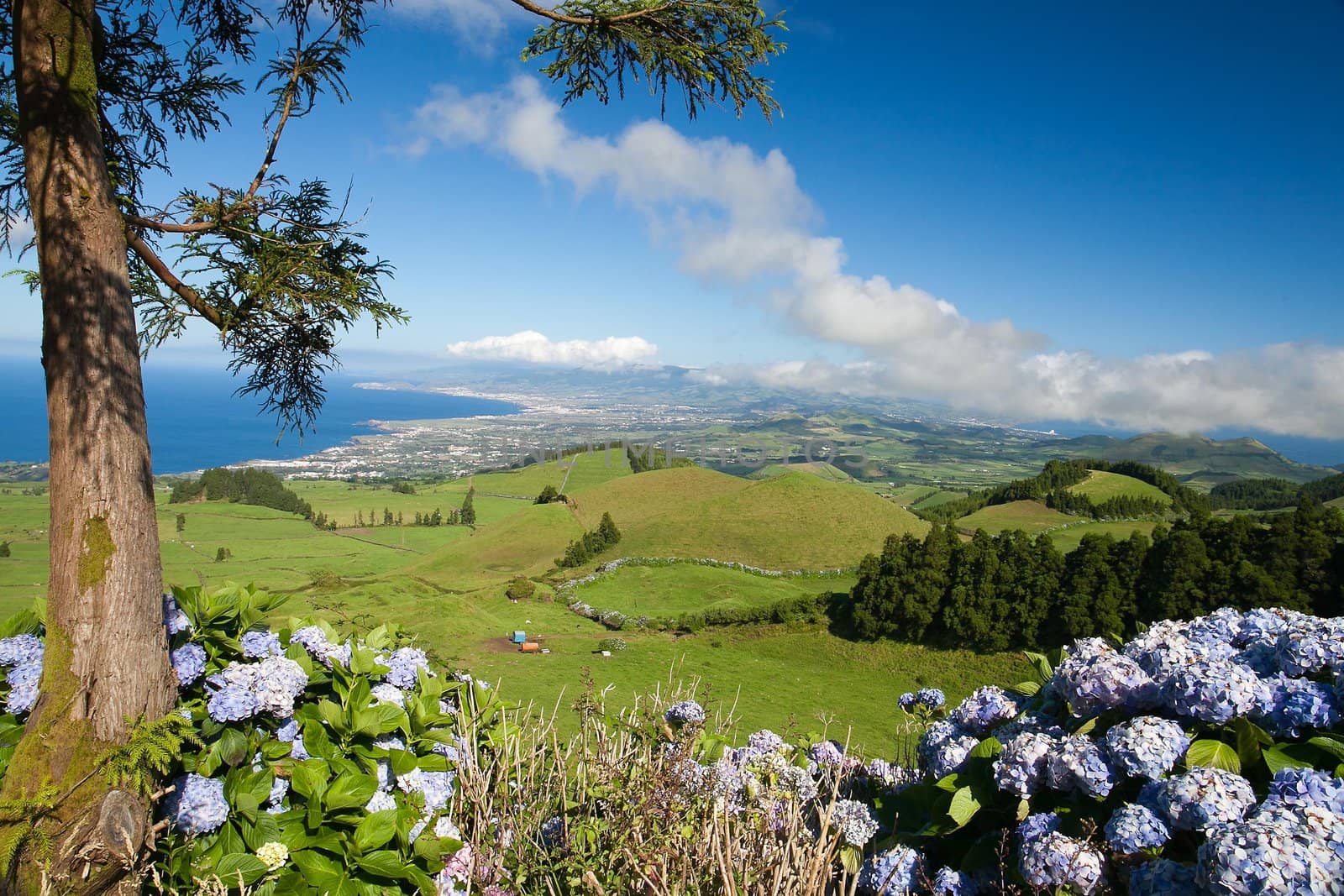 Aerial view to the city and valley, San Miguel island, Azores