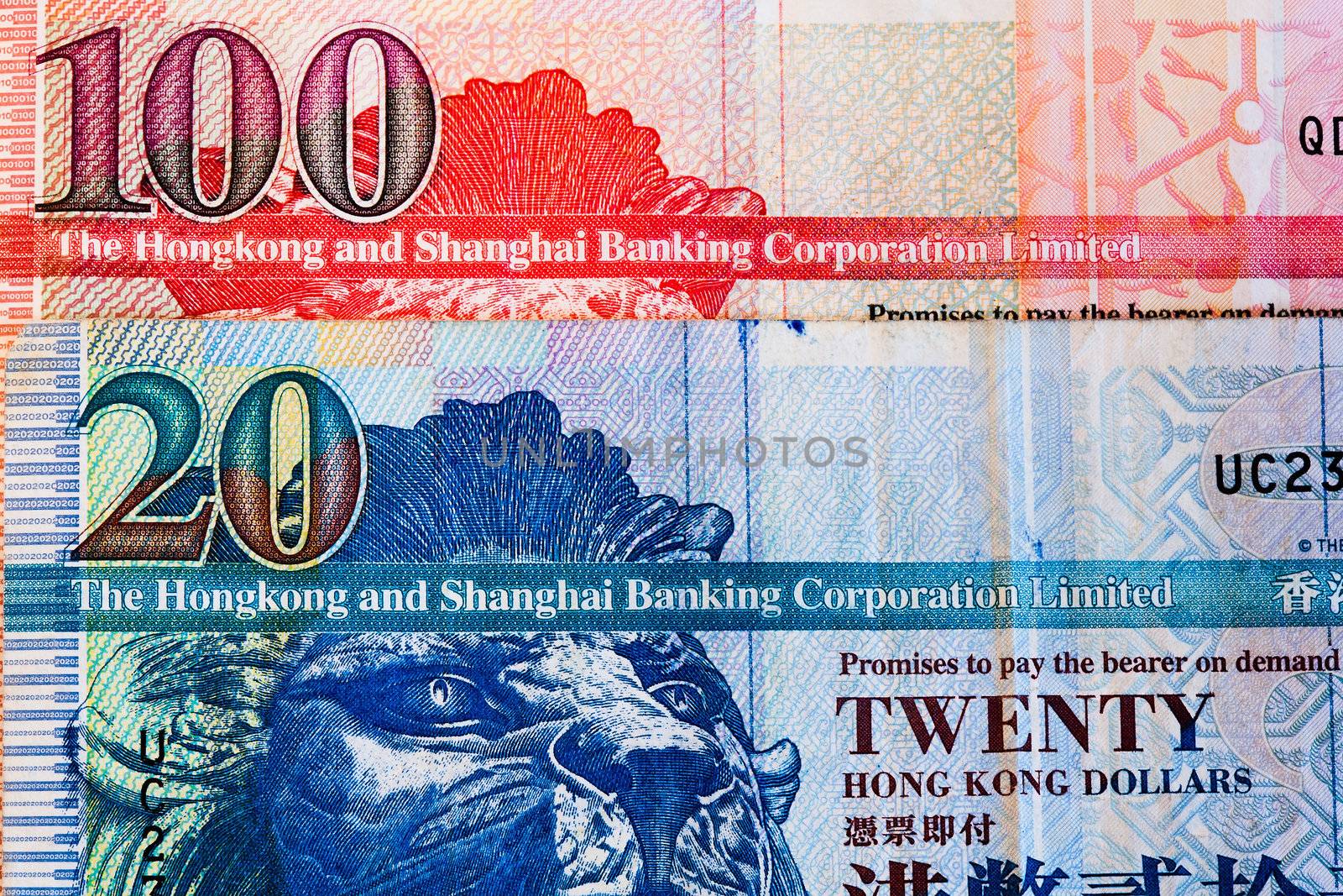 The Hong Kong currency