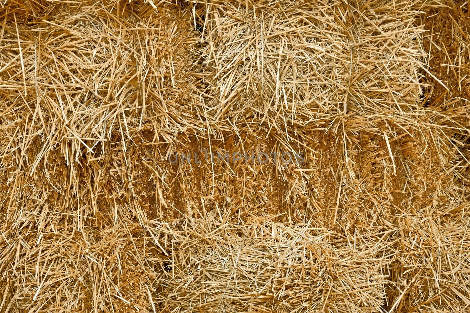 Pile of stacked straw bales  by qiiip