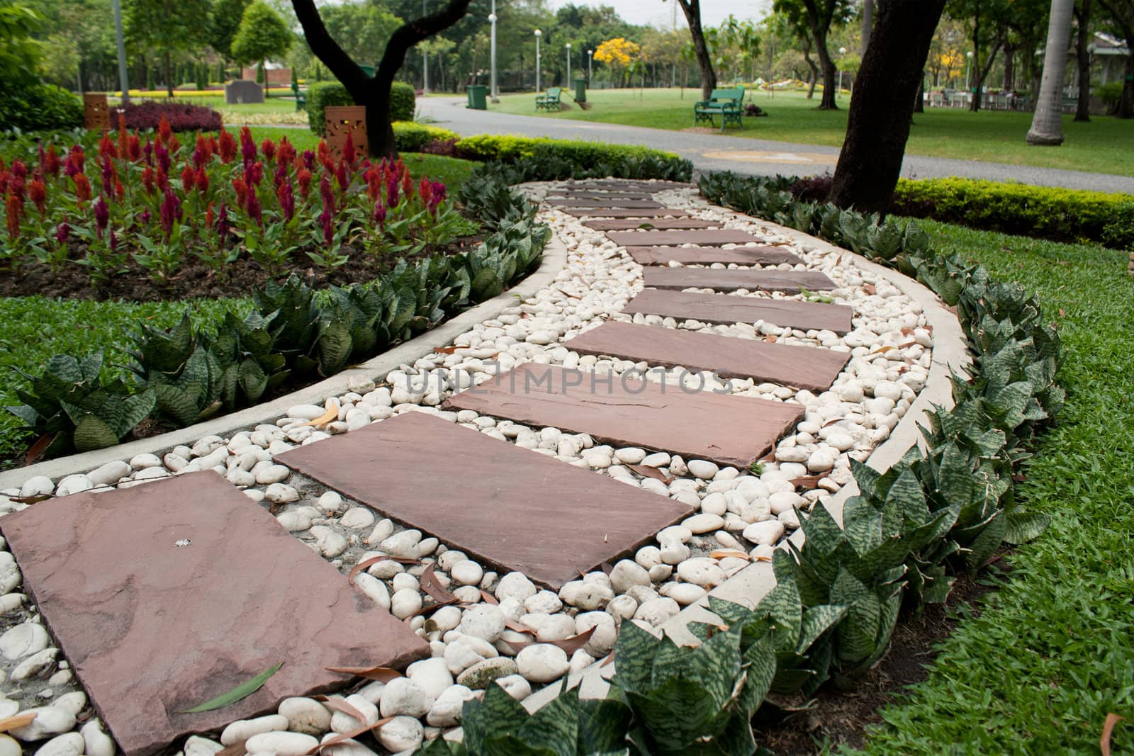 Garden Stone Path