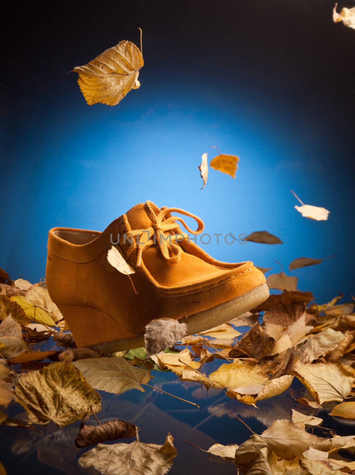 yellow suede shoes on dry leaves over blue
