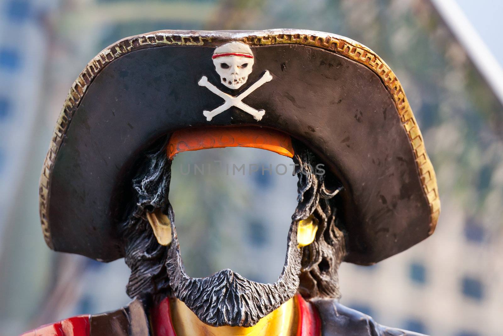 Pirate mask with a cutout for the face .