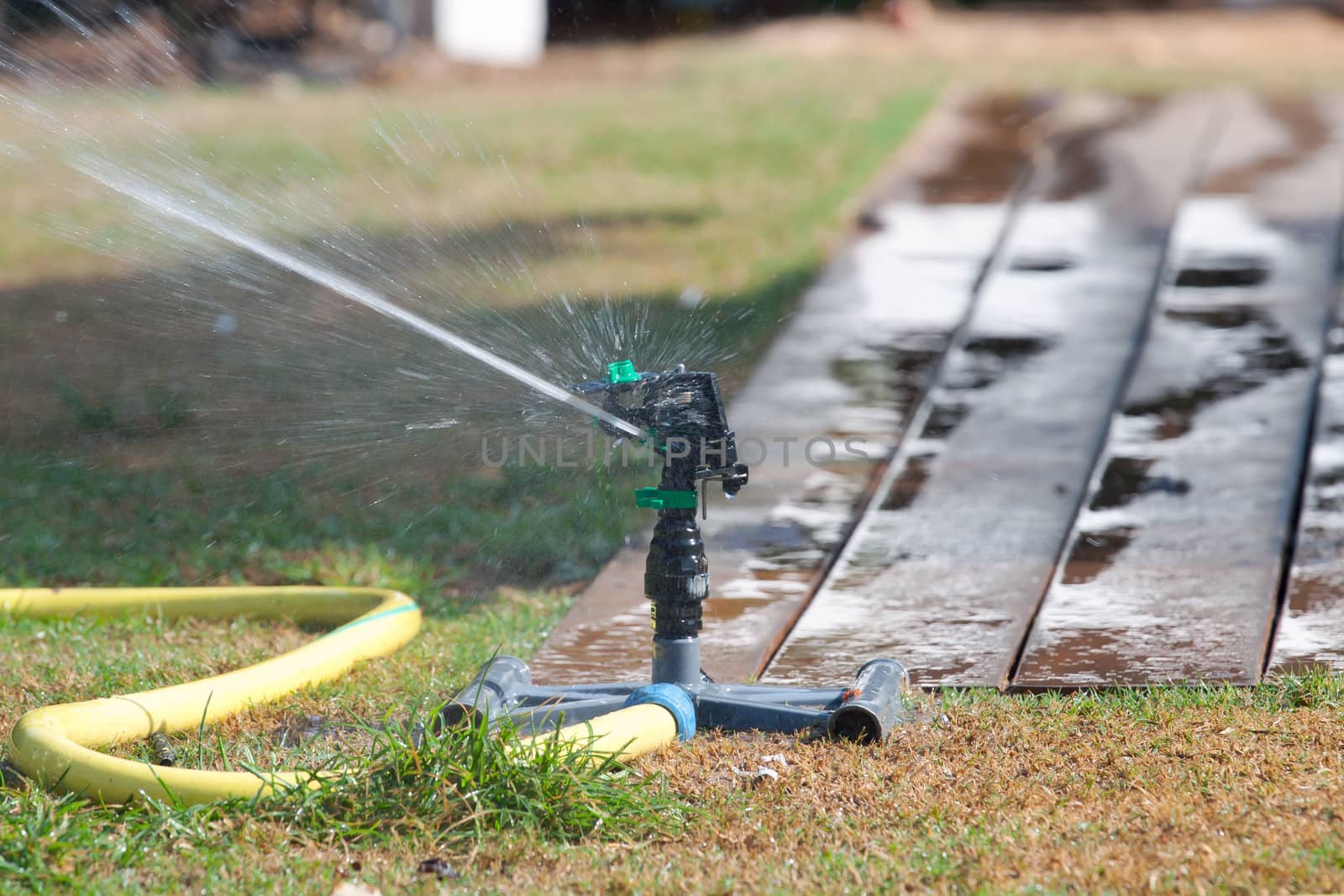 Irrigation sprinkler watering grass.