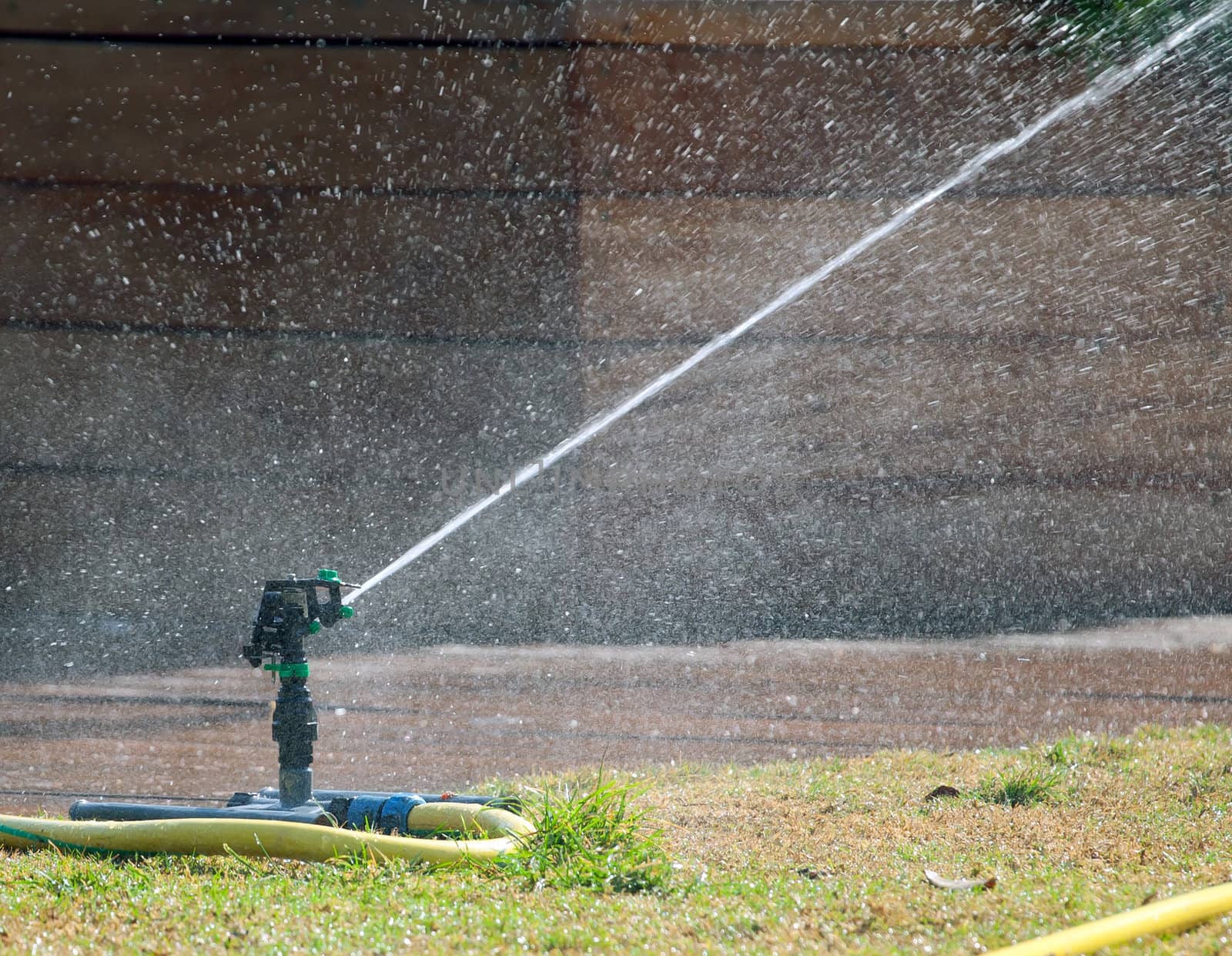 Irrigation sprinkler watering grass