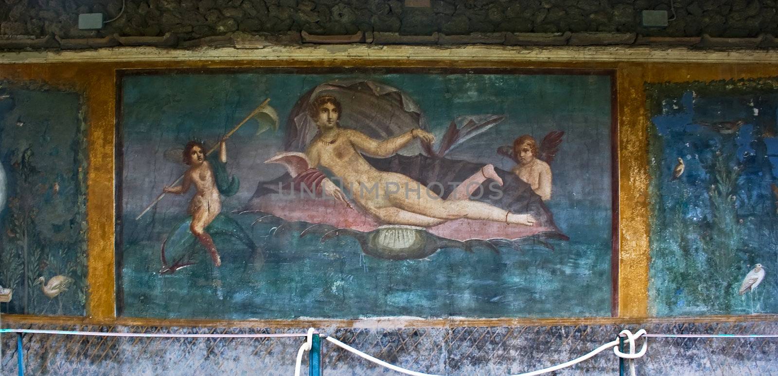 Roman wall painting Venus in Pompeii, Italy