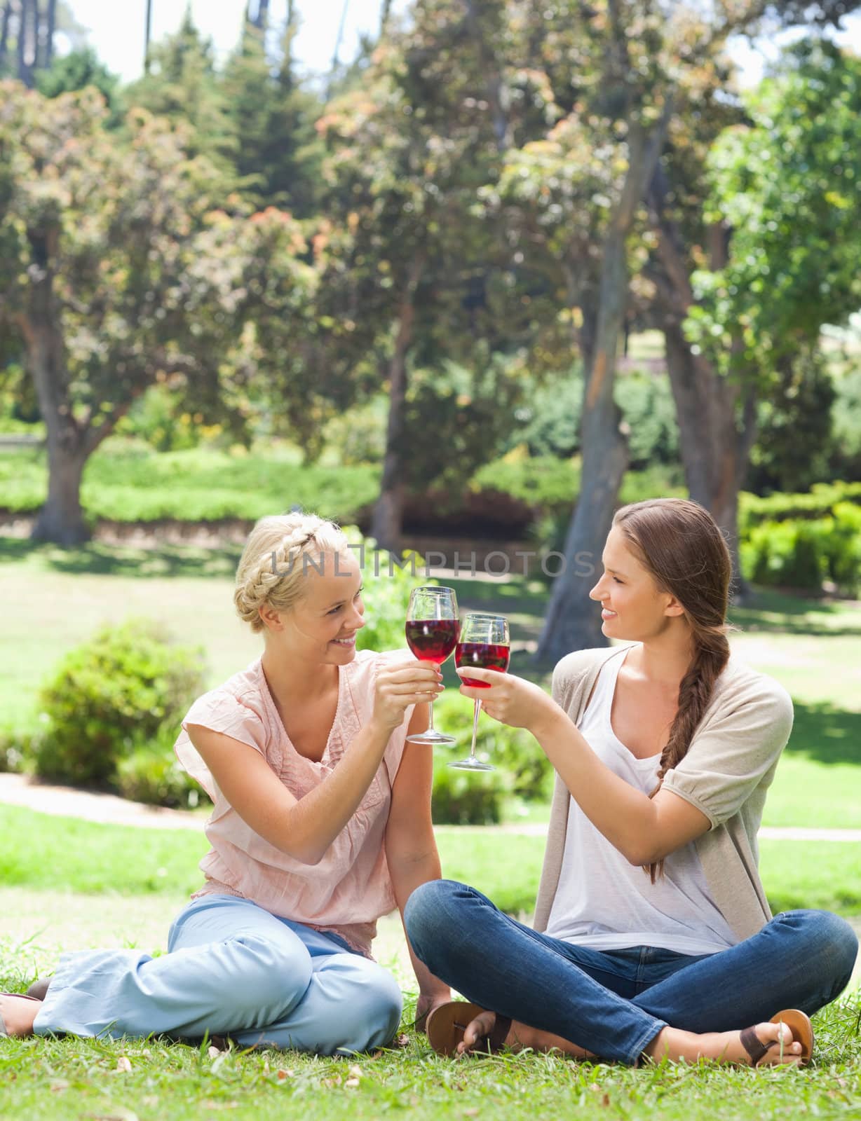 Female friends clink glasses of wine in the park