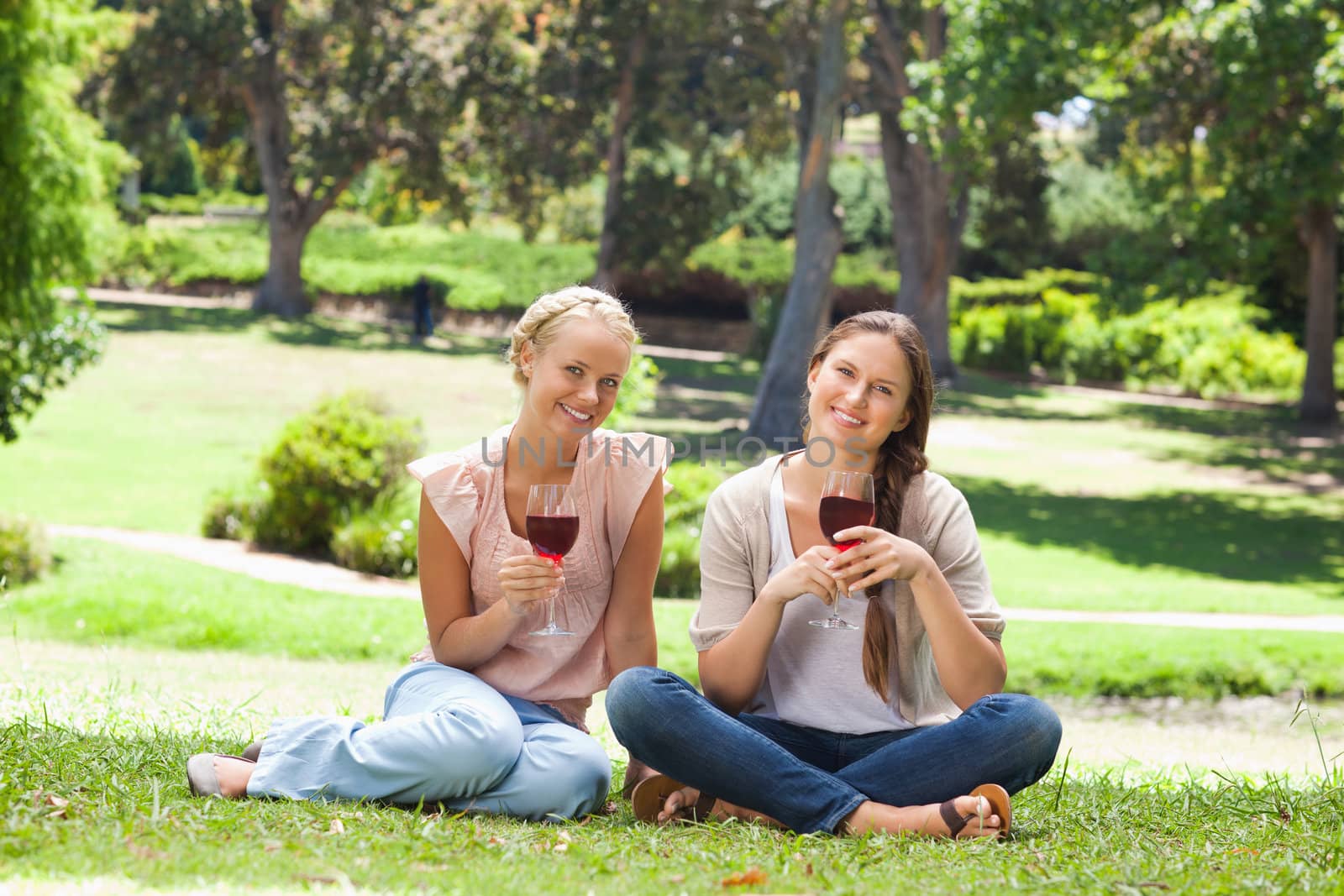 Friends with wine glasses in the park by Wavebreakmedia