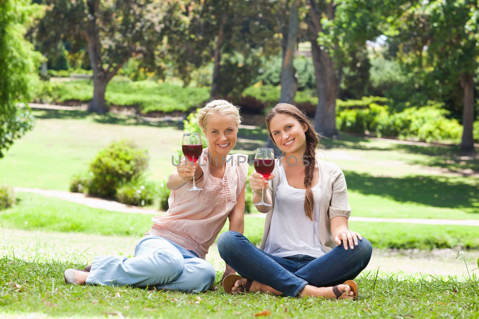 Female friends drinking red wine in the park
