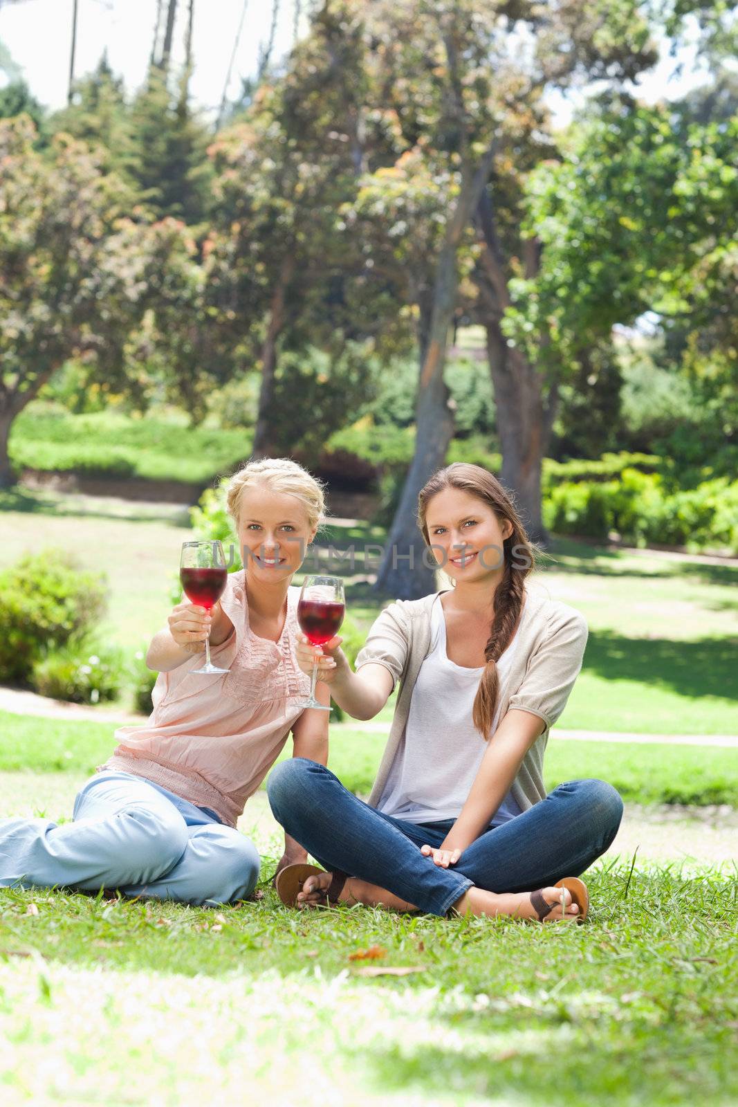 Smiling female friends having glasses of red wine in the park