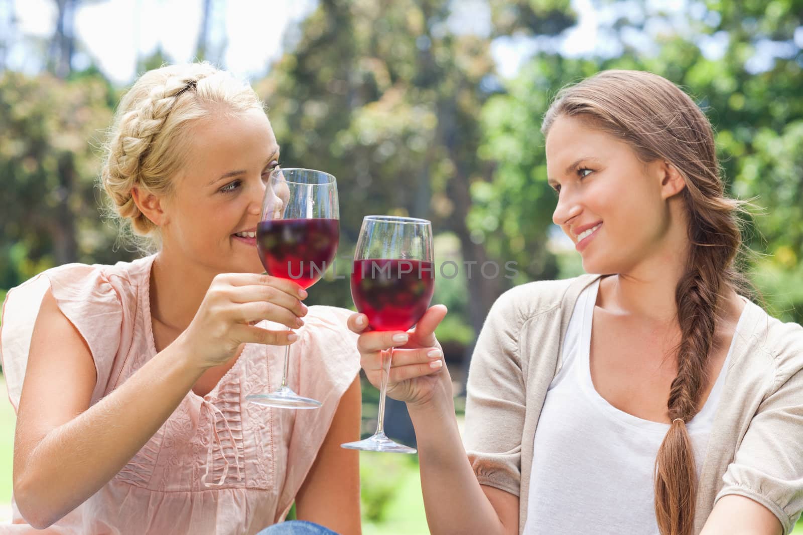 Female friends clinking their wine glasses