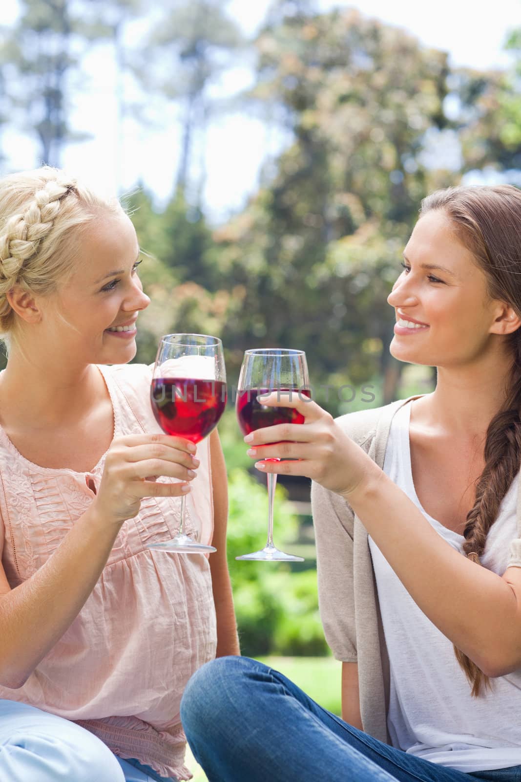 Smiling female friends clinking their wine glasses