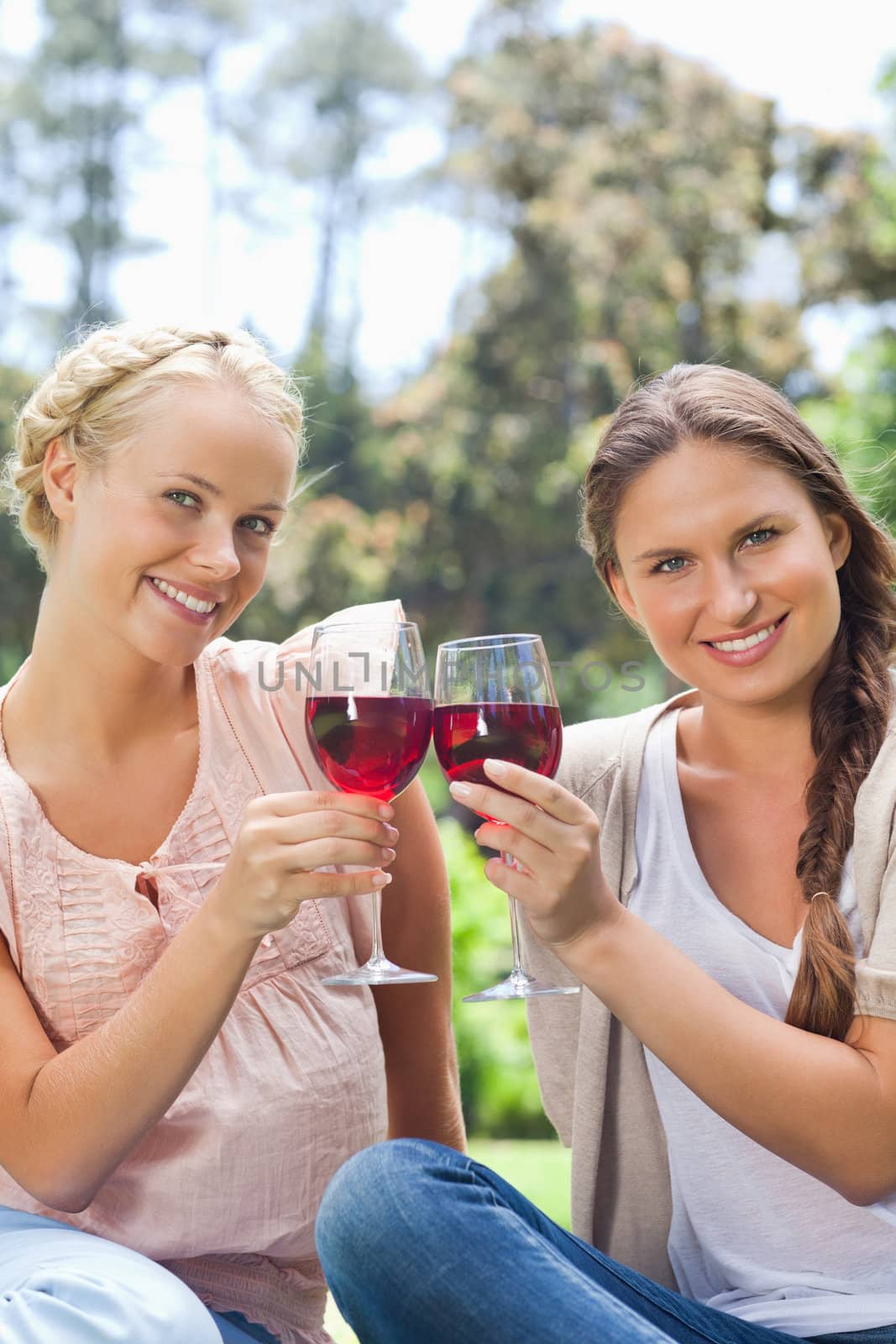 Smiling female friends clinking wine glasses