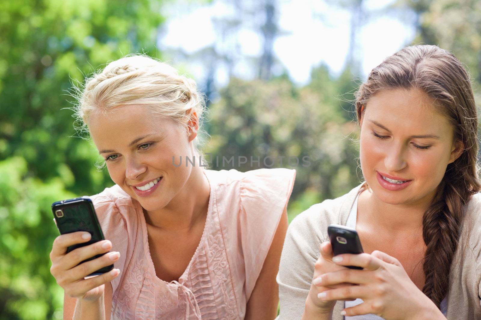 Female friends writing text messages in the park