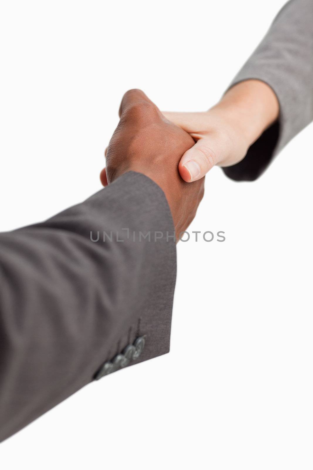 Businesspeople shaking hands by Wavebreakmedia