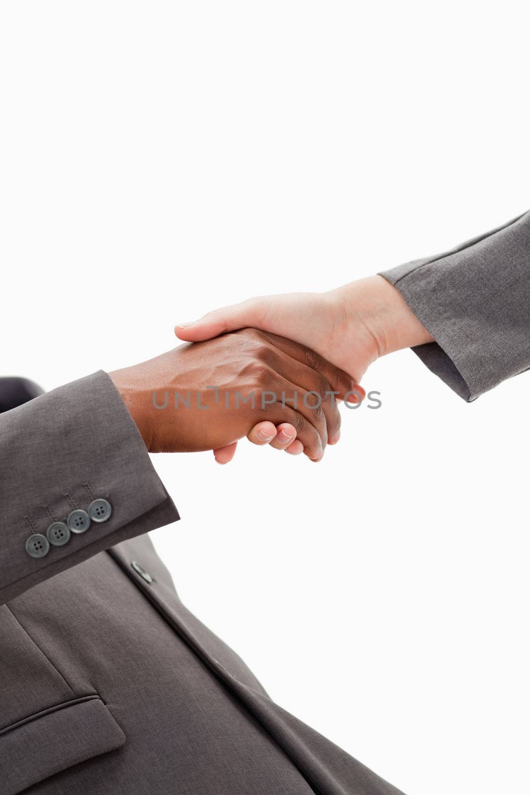 Two businesspeople are shaking hands