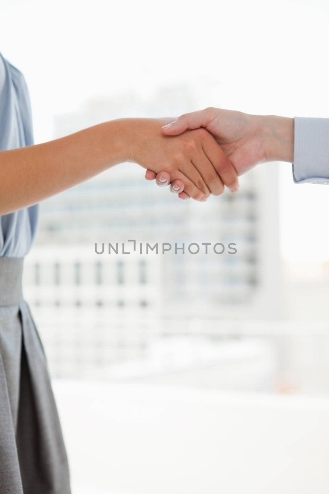 A handshake of two people saying hello to each other