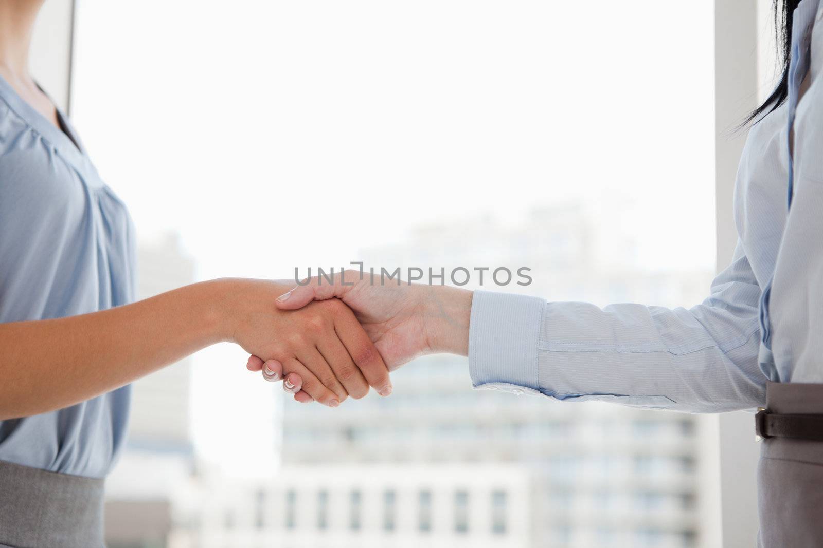 Two women shaking hands in the office by Wavebreakmedia