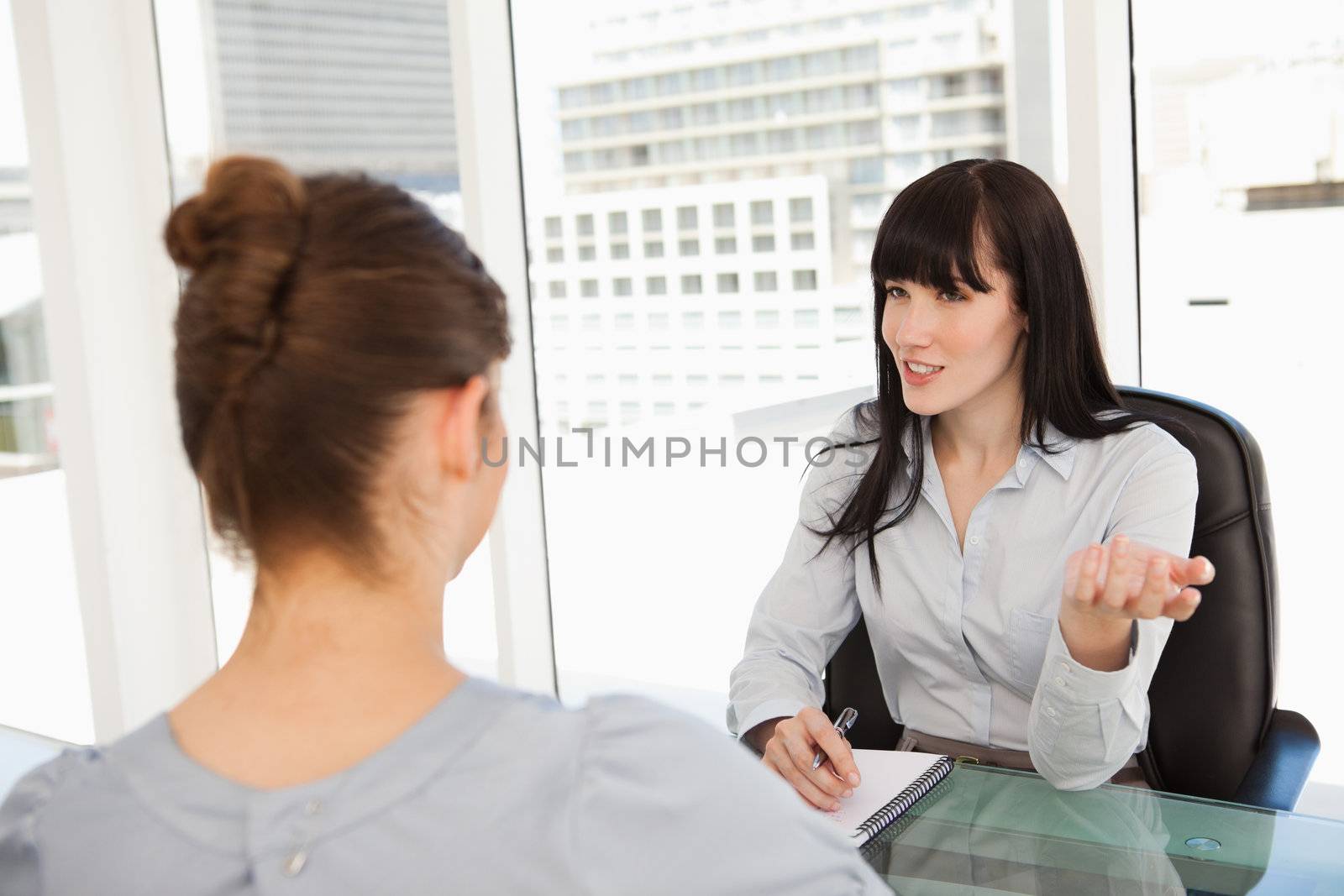 A business woman interviews a potential new employee by Wavebreakmedia