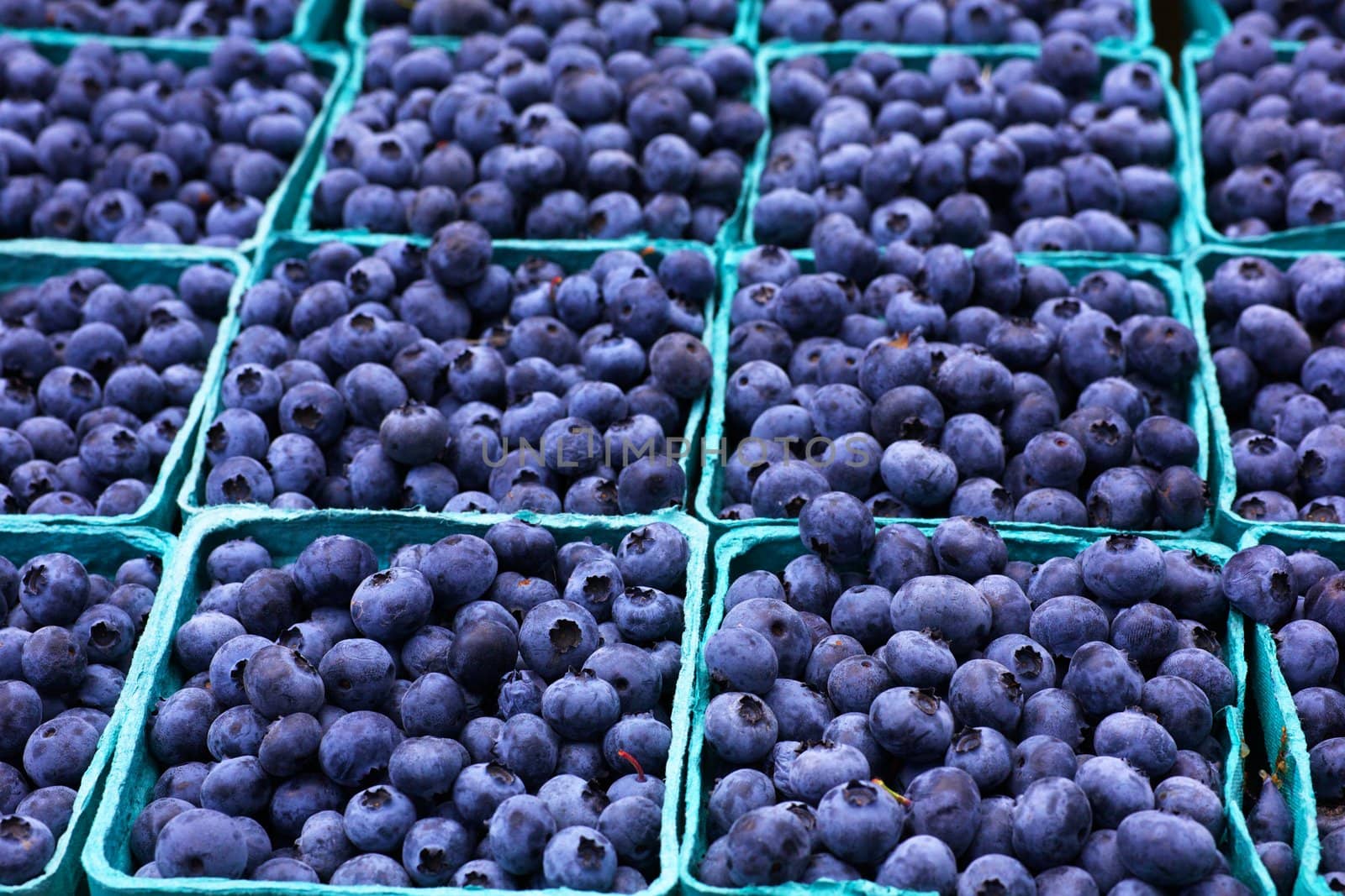 Many boxes of blueberries with soft background at the Farmers Market