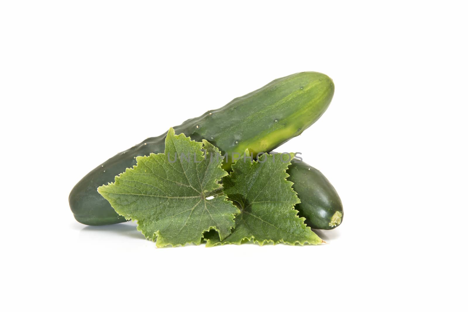 Cucumbers with its leaves isolated on a white background
