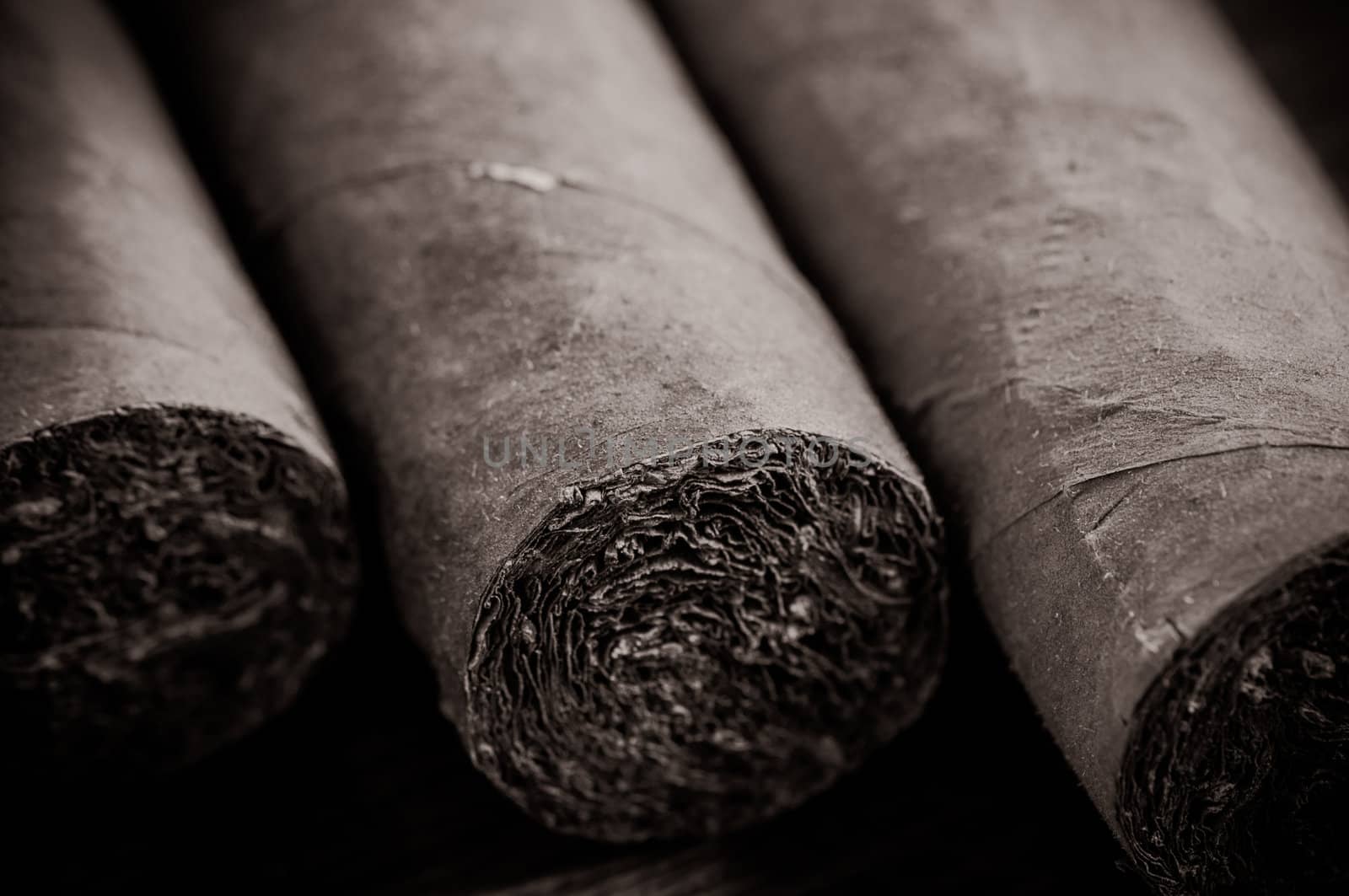 Cigars