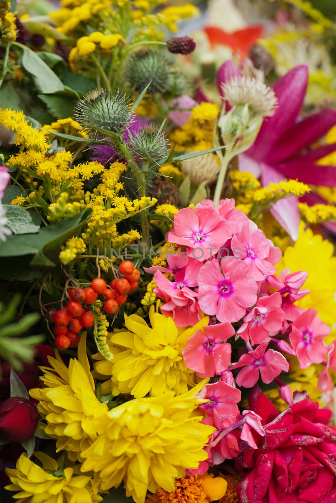 beautiful bouquets of flowers and herbs