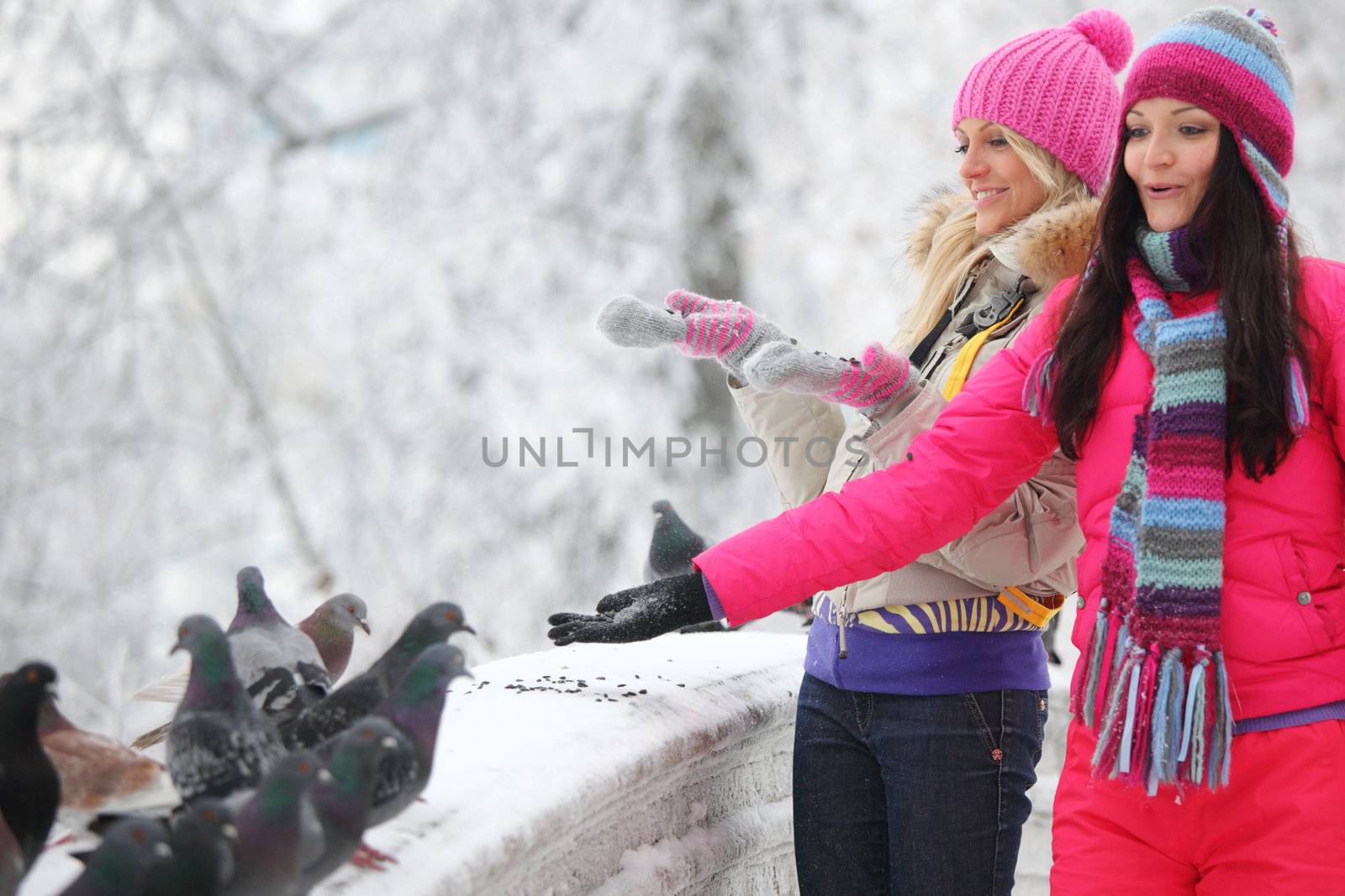 winter women give food to the pigeon