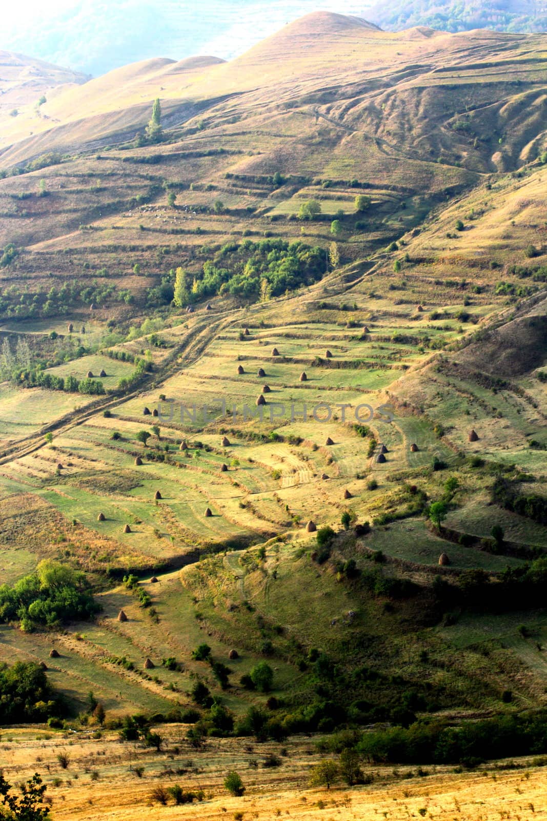 extreme terrain modified for agriculture, near Rimetea, Romania