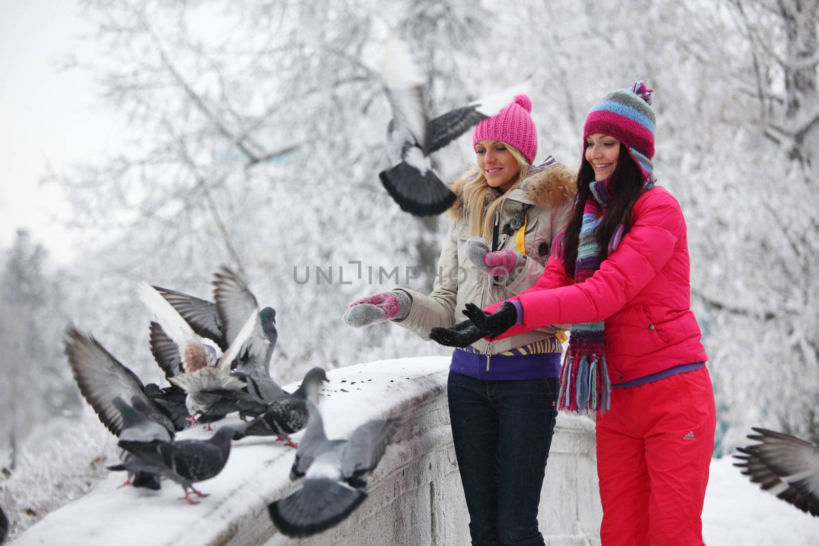 winter women give food to the pigeon