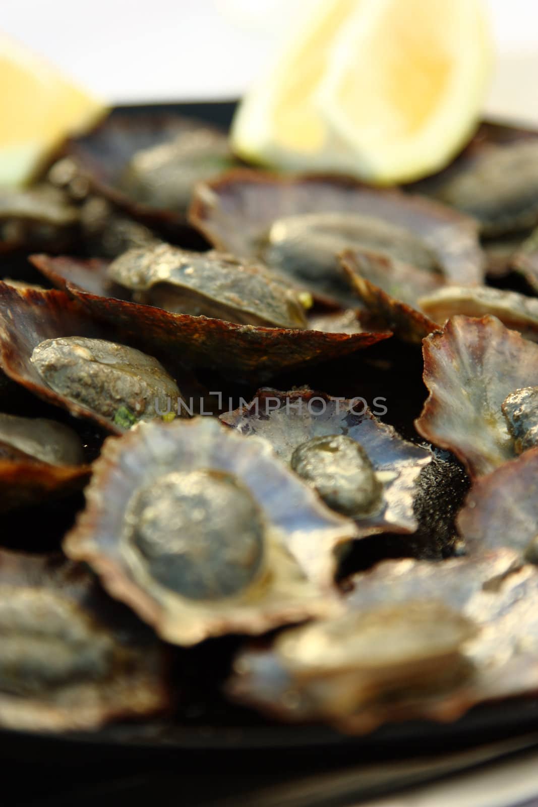 Grilled limpets with lemon. Madeira's traditional dish.