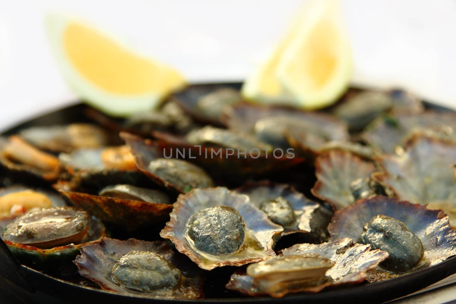 Grilled limpets with lemon. Madeira's traditional dish.