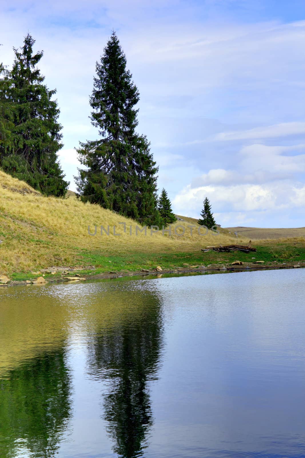 lake Icoana in Suhard mountains, Romania, surrounded by old spruces