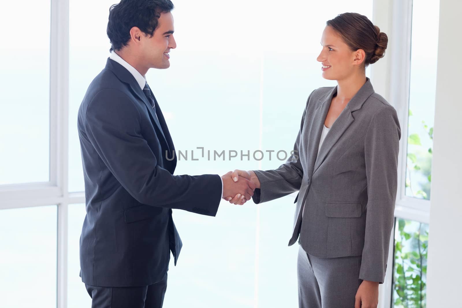 Side view of young business partner shaking hands