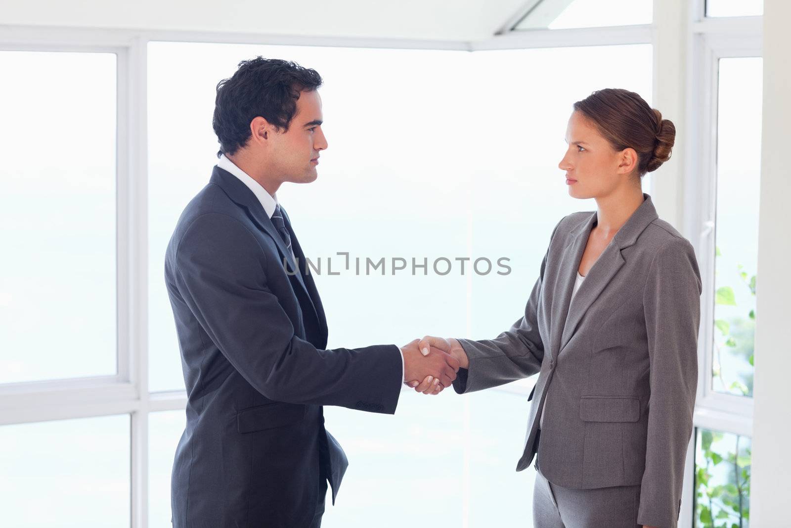 Side view of young trades partner closing deal