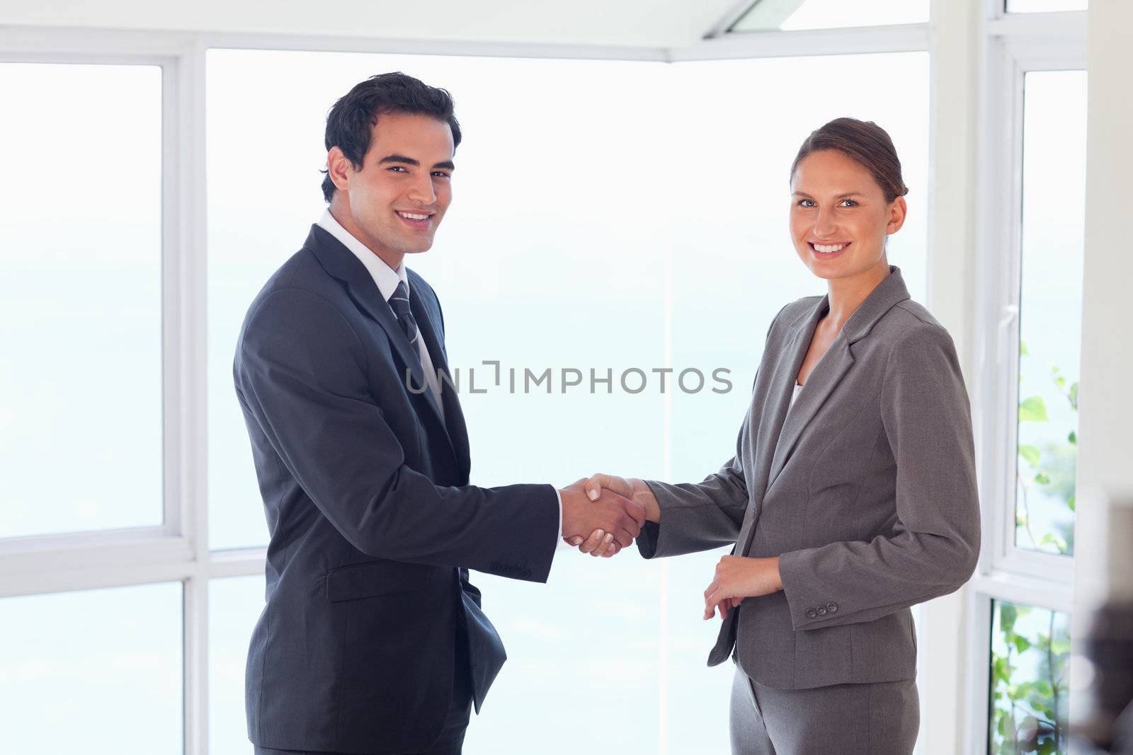 Side view of smiling young trade partner shaking hands