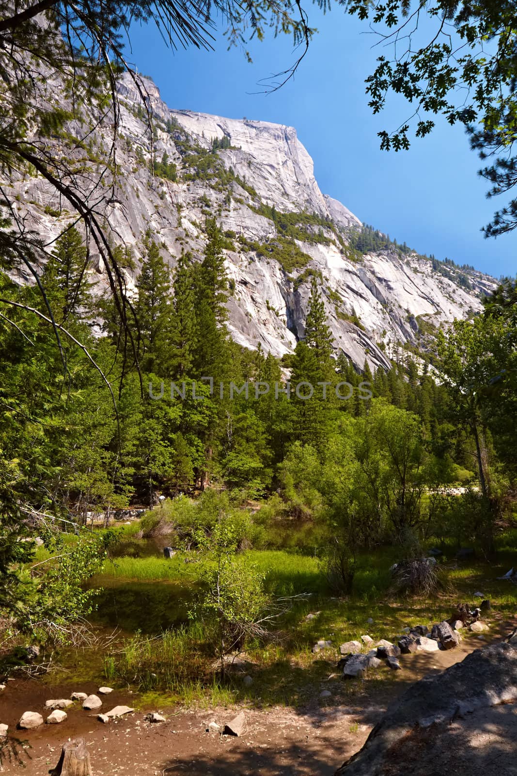 Yosemite Valley, Yosemite National Park, California, USA