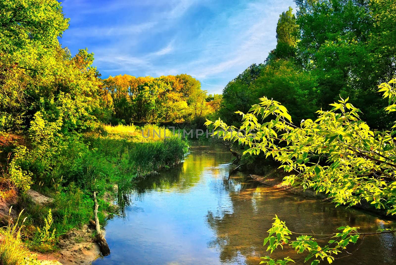 Scenic river in autumn forest under the blue sky