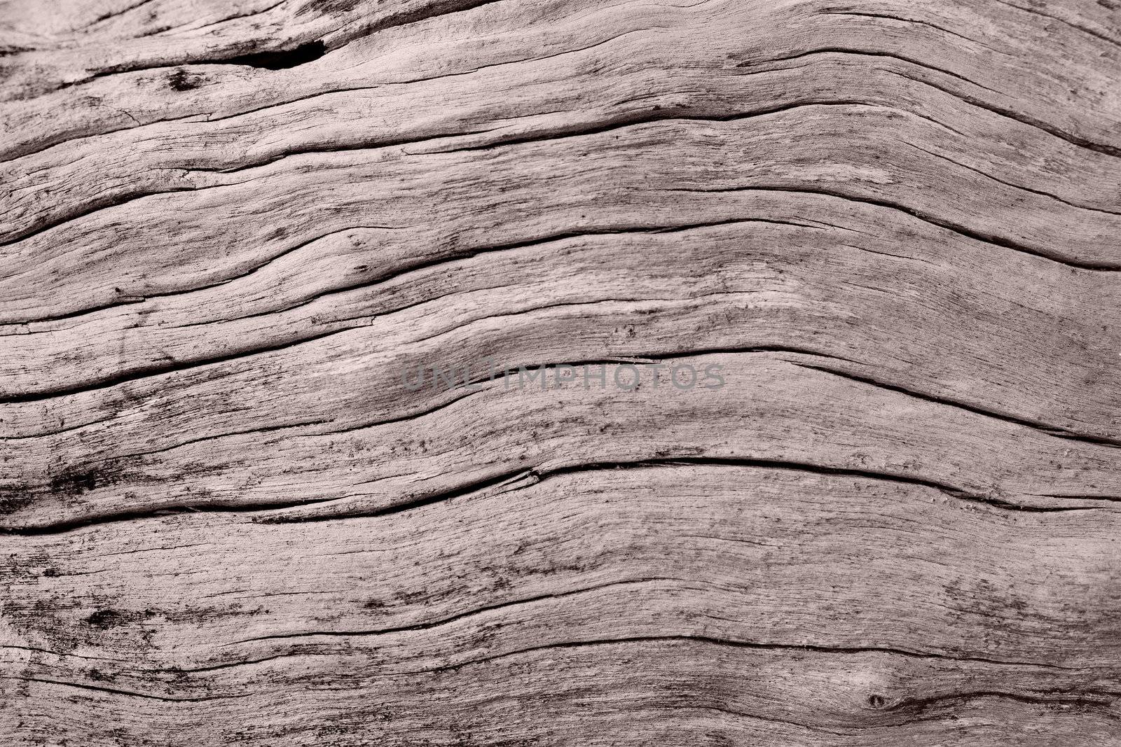 Abstract wood texture