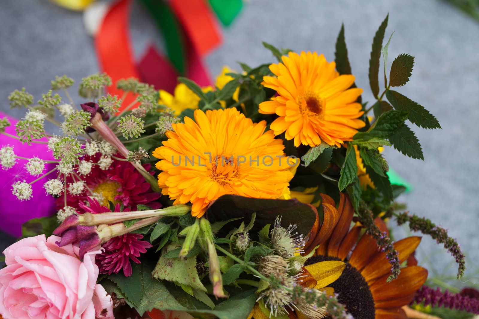 beautiful bouquets of flowers and herbs by wjarek
