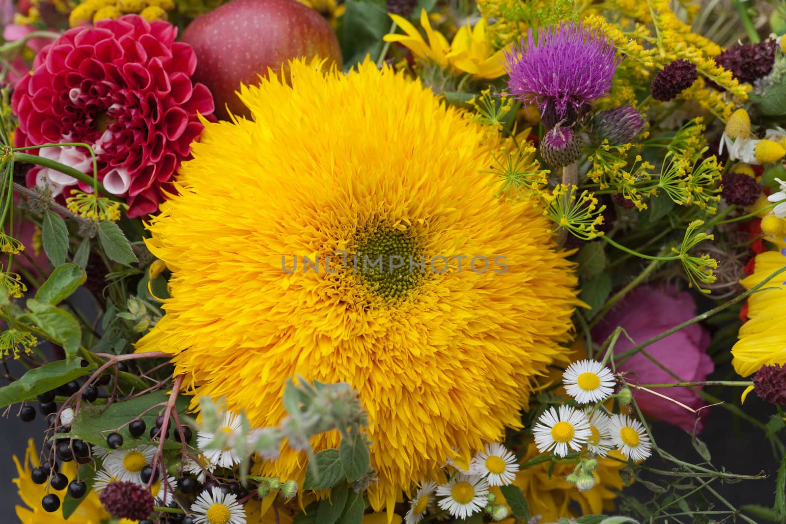 beautiful bouquets of flowers and herbs