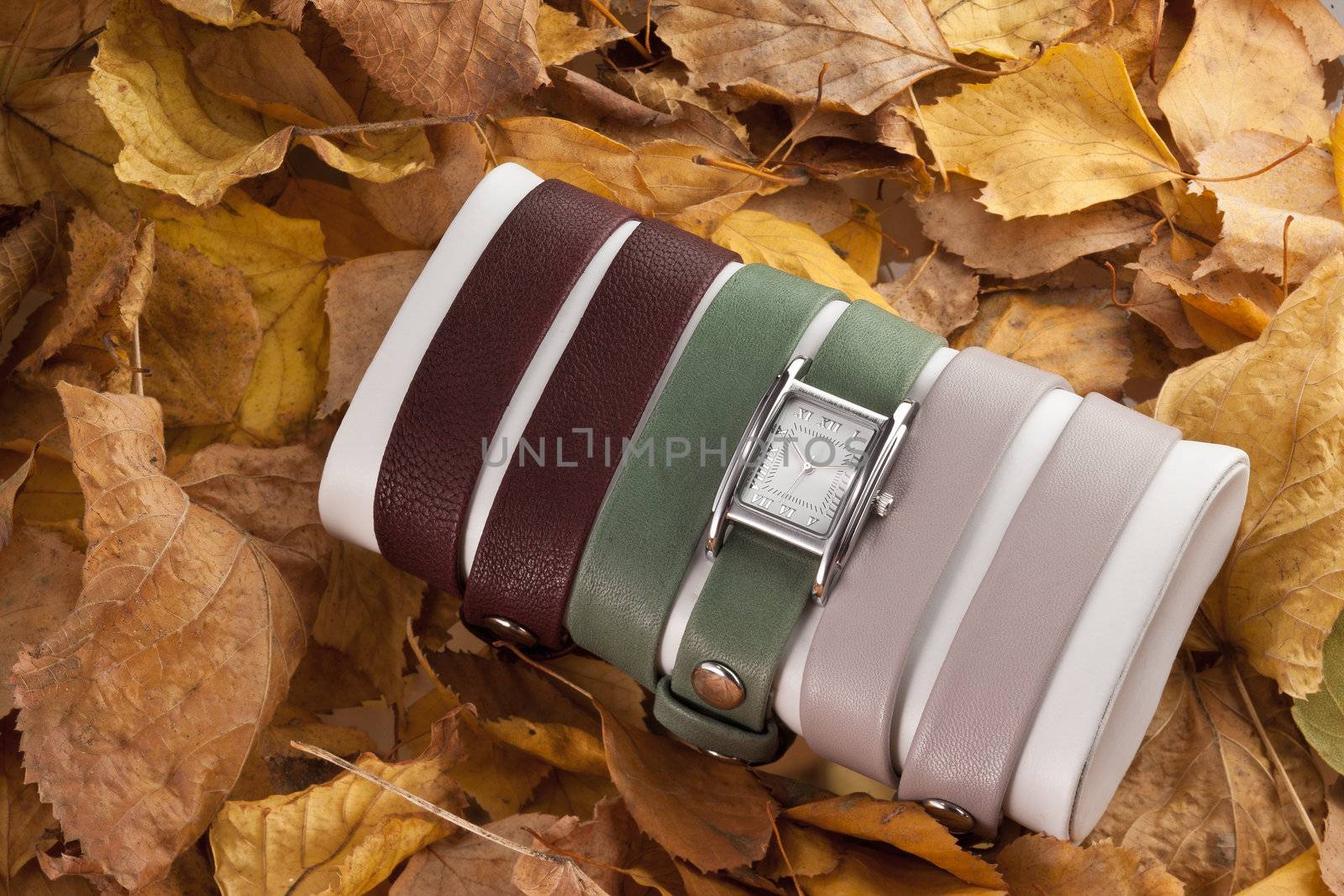 wristwatch with collection of bracelet on dry yellow leaves