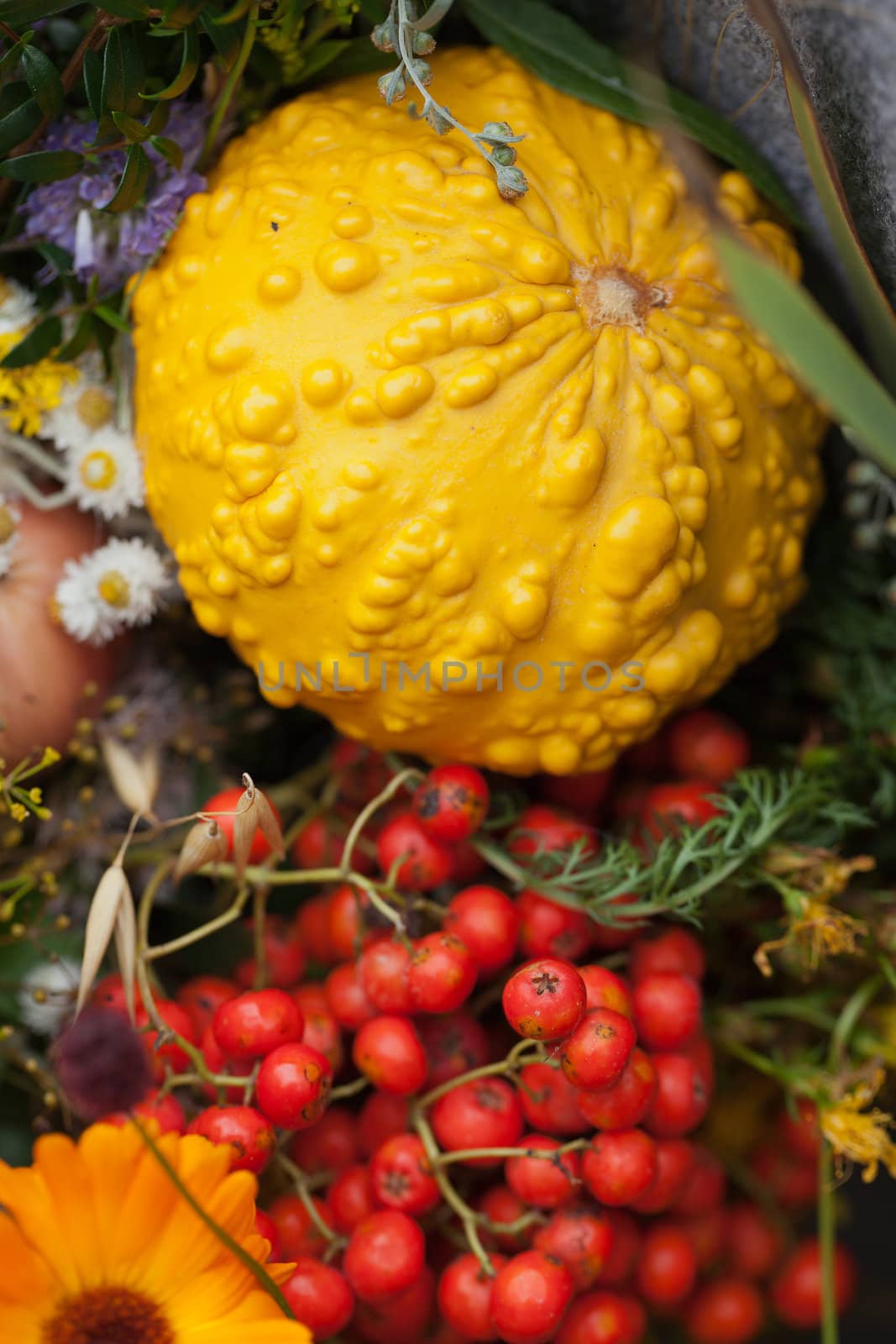 beautiful bouquets of flowers and herbs