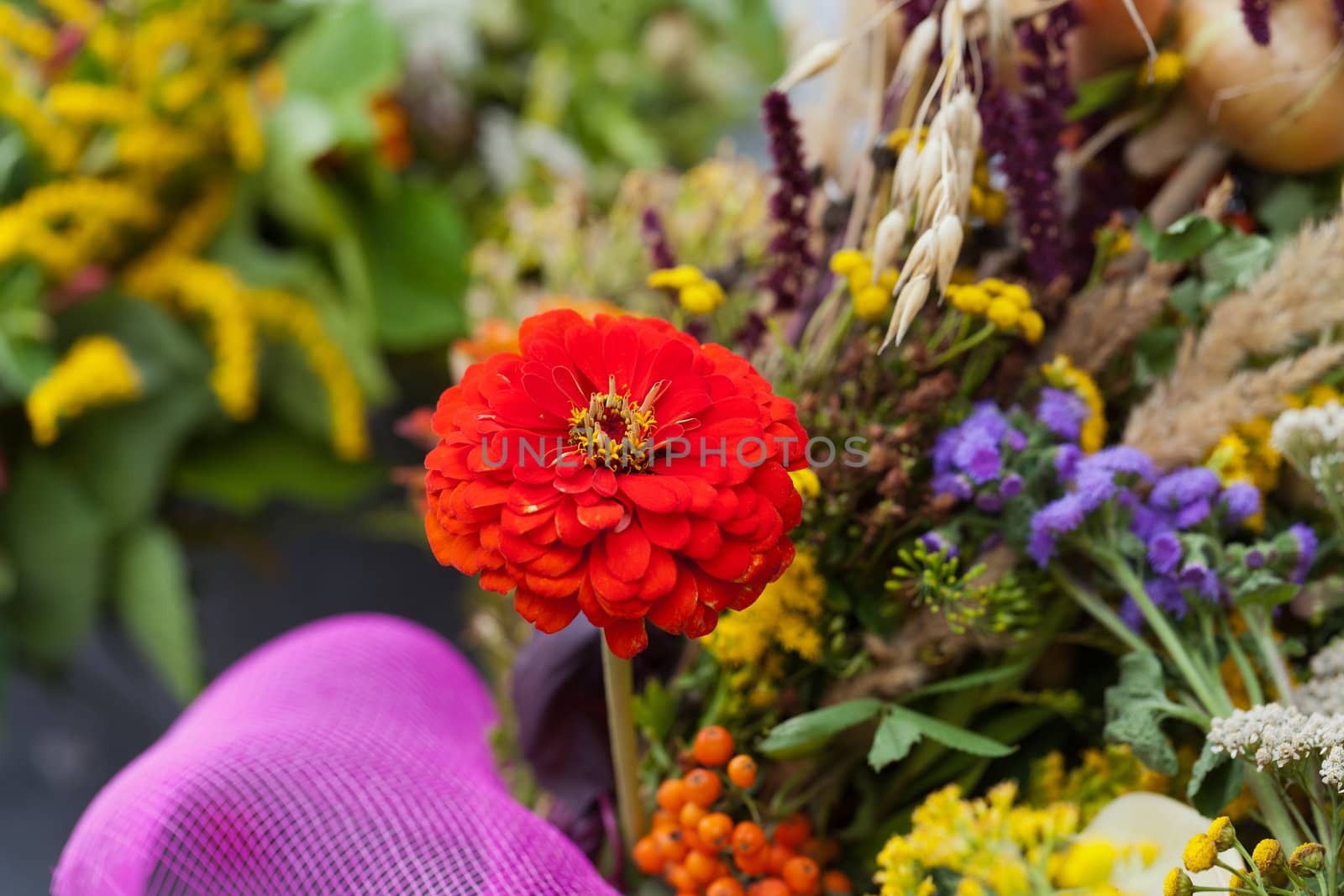 beautiful bouquets of flowers and herbs