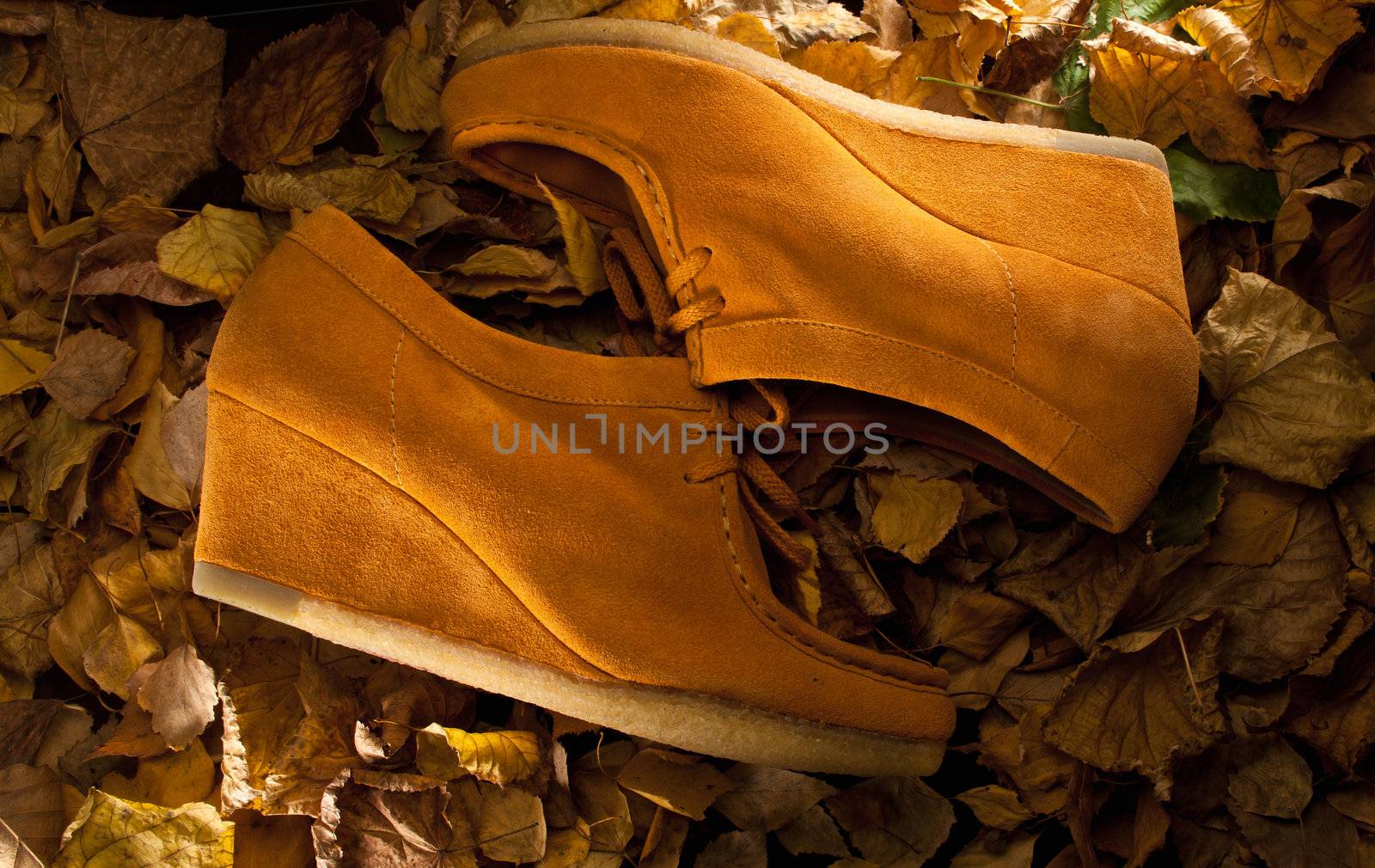 yellow suede shoes on dry autumn leaves
