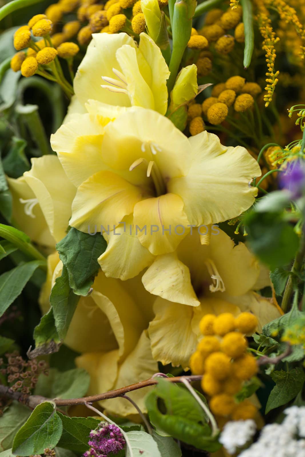 beautiful bouquets of flowers and herbs
